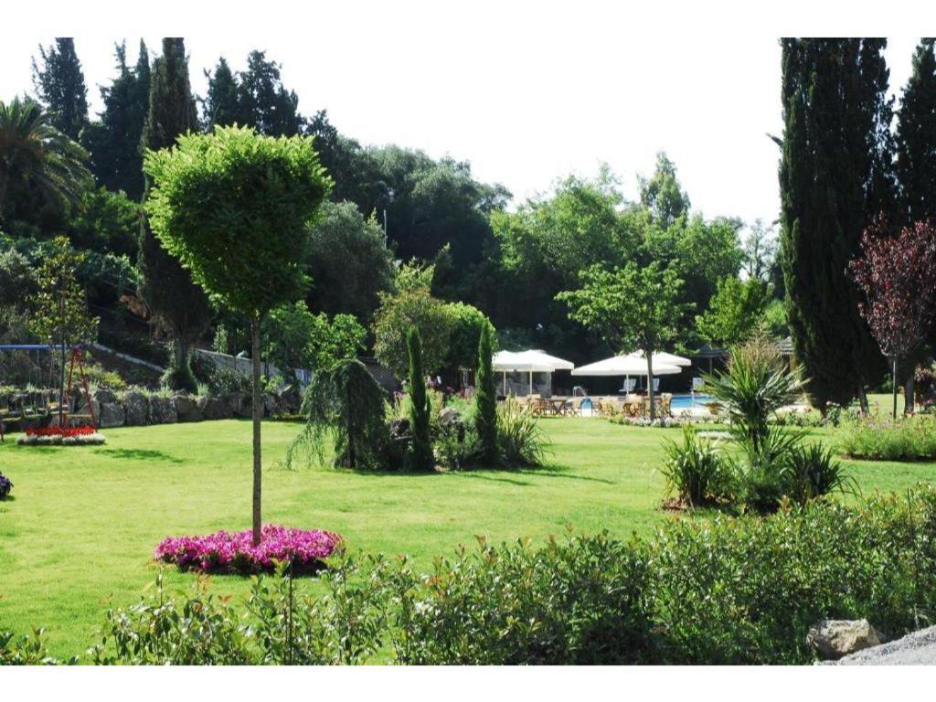Corfu Club Executive * Danilia